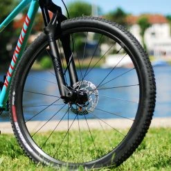 Specialized S-Works Renegade 2 Bliss MTB-Reifen 29 X 2.1 | Black -Swissstop Verkäufe specialized s works renegade 2 bliss mtb reifen 29 x 21 black 003 53792 2200x1760 1280x1280